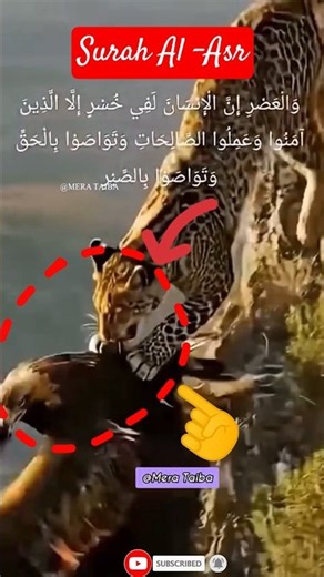 "سورة العصر 🌙 Surah Al-Asr | Powerful Quran Recitation That Touches the Heart 💖" #yt#egzonibrahimi​