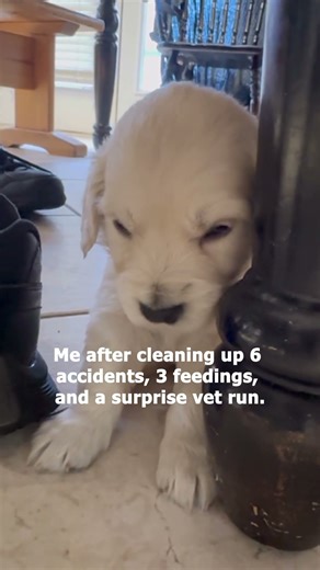 Who else is nodding their head like yes, that's me?!