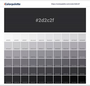 #2d2c2f - Midnight Veil | Pantone PANTONE 19-0303 TCX