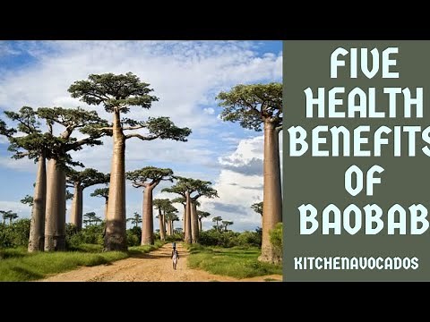 FIVE HEALTH BENEFITS OF BAOBAB