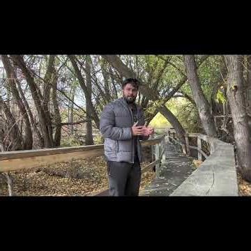 Tech Simplified | Episode 1 : what is operating system