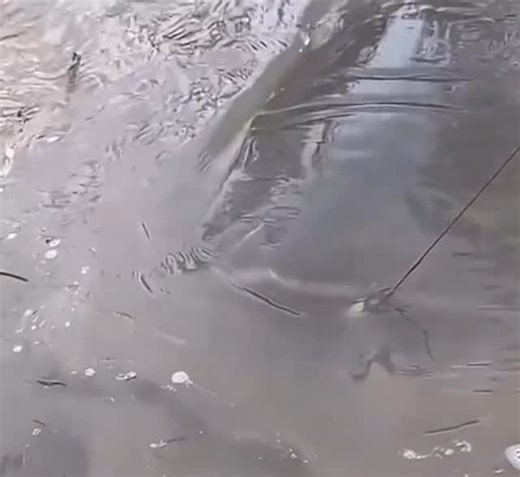 Troll Face💀 on Instagram: "Diego Maradona (1960–2020) Diego Armando Maradona was an Argentine football legend, widely regarded as one of the greatest players in the history of the sport. Early Life: Maradona was born on October 30, 1960, in Villa Fiorito, a poor neighborhood in Buenos Aires, Argentina. He displayed exceptional football talent from a young age. Club Career: Argentinos Juniors (1976–1981): Maradona began his professional career at Argentinos Juniors, scoring"