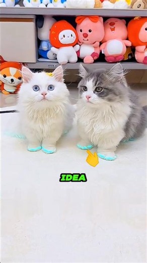 These Cats Couldn't Figure Out the Red Dot🐈😔