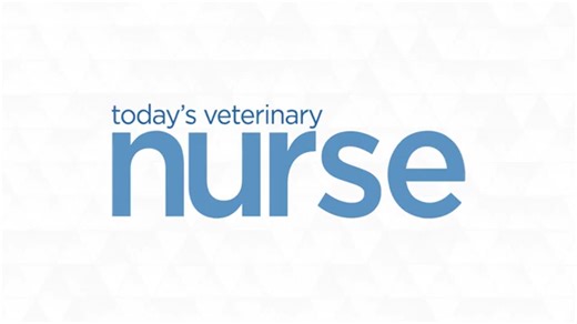 Urethral Catheterization of the Obstructed Male Cat