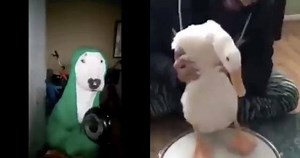 13K views · 337 reactions | Random compilation 2 on Reels | Facebook