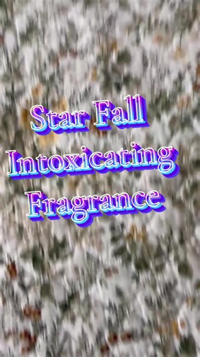 Star Fall Intoxicating Fragrance