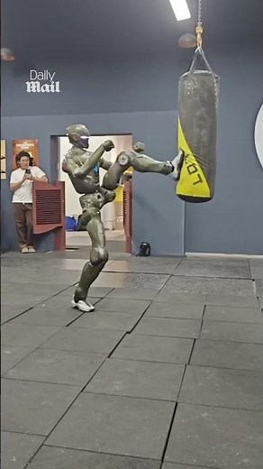 Chinese CEO kicked by humanoid robot