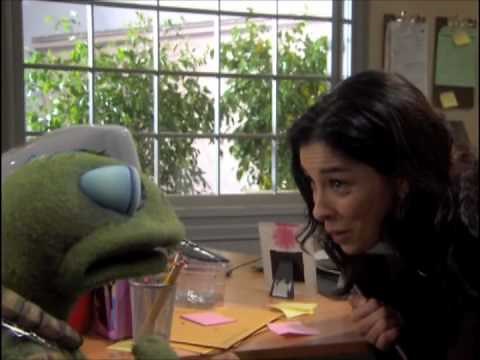 Tardy Turtle Compilation