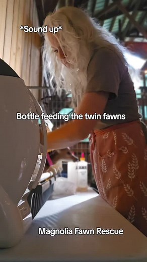 Thank you to the kind people who donate, your generosity is helping save orphaned and injured fawns. Paypal.me/magnoliafawnrescue Venmo: @magnoliafawnrescue Mail: Magnolia Fawn Rescue 1066 Hayes Drive Gray Court, S.C. 29645 #fawn #babydeer #animalrescue #fyp #foryou | Magnolia Fawn Rescue