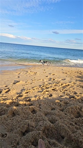 alanwilson2512 (@alanwilson2512)’s videos with Livin' My Best Life - Dylan Scott