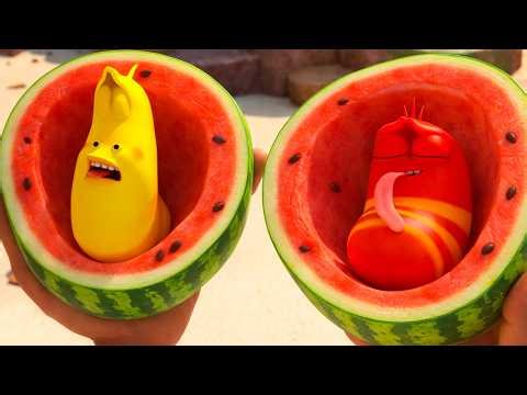 Watermelon rind - Larva Animation Funny Episodes 2026 - Best Cartoons 2026 | Comics