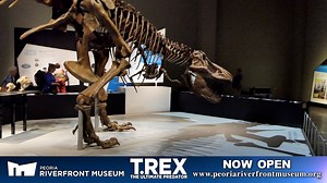 3 comments | Have you seen Peoria Riverfront Museum's T-Rex the Ultimate Predator exhibit yet? Check out this Entertainment Report to learn about what you'll find at the PRM this summer! | ExplorePeoria | Facebook