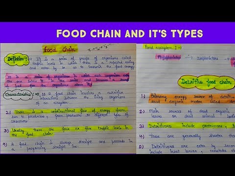 Food chain || ecosystem || types of food chain