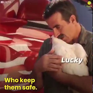 27K views · 710 reactions | Dear non-human animals: I will never stop...