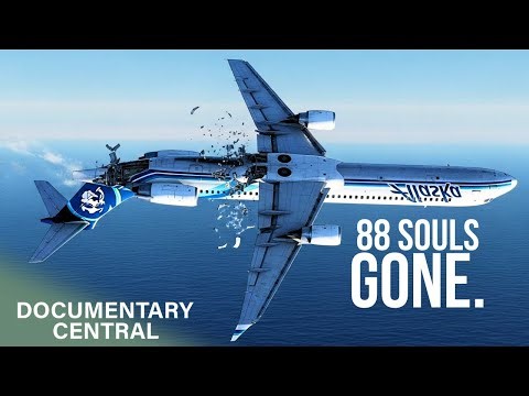 They Attempted to Save the Plane by Flying it Upside Down?! | Mayday Air Disaster | S1E05