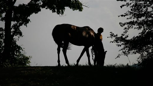 Extended grief after the loss of an animal can affect people as much as a human bereavement, research shows