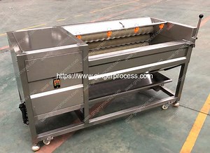 Semi-Automatic Ginger Washing Peeling Machine | Ginger Processing Machine Manufacturer and Supplier