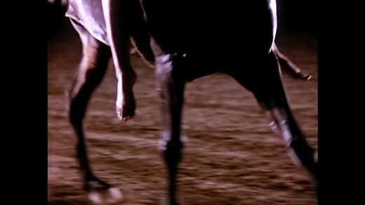 Tina Turner - The Best (Official Music Video) [HD REMASTERED]