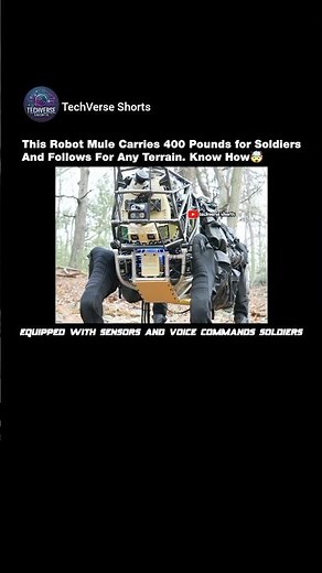 This Robot Mule Carries 400 Pounds for Soldiers🤯#shorts#robotics
