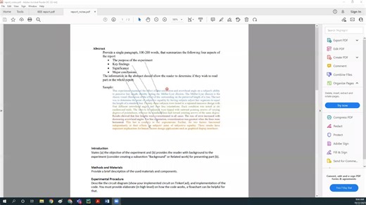 IEEE report example 报告格式