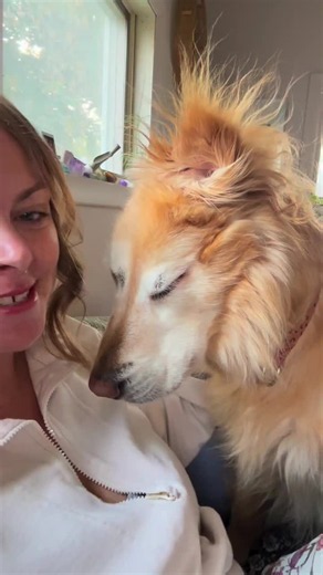 I was lucky to take that call at the veterinary hospital I worked at 😌💕 #goldenretriever #fyp #dog #puppy #unicorn