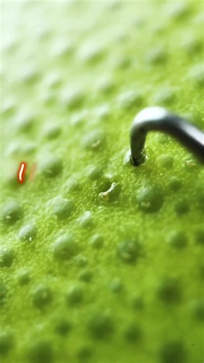 Second Date Update: The Messy Story of Keith and Allison