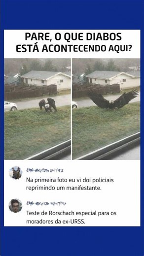 Kkkkkkkkk🤣#anecdote#memes