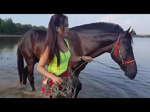 Village girl wash and remove dust for her horse so smart