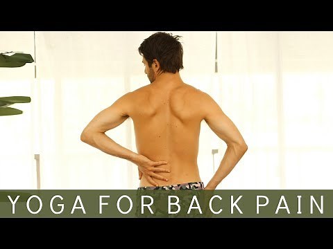 Yoga For Back Pain | Tim Senesi Yoga