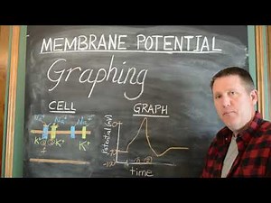 10b Membrane potential graphing