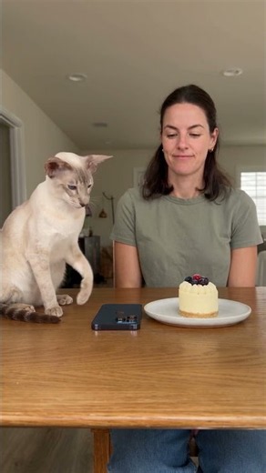 She Looked Away For ONE Second… And Bro Ate Everything 😂🐱 | Bro & Dickens