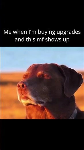 Upgrading Military Academy for Generals be like | Age of History 3 meme