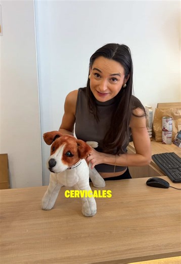 ¿QUE ARNÉS DEBES PONERLE A TU PERRO? 🐶 Hace un tiempo se pusieron de moda los arneses noruegos y se veían y recomendaban muchísimo. Pero estudios recientes demostraron efectos relevantes en su uso comparados con arneses de tipo H e Y, como la longitud de la zancada o la afectación de la biomecánica del perro. 🙏🏼 Si tienes alguna duda siempre puedes preguntarnos! 😊 Os queremos 🩷🩷