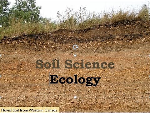 Video Lecture on Soil Biology/Ecology