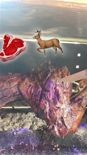 Kofsh 🦌 ne hell #albania