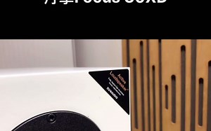 丹拿有源音箱旗舰，Focus 30XD，搭配音源直接可以播放，方便快捷，关键音箱素质也是有口皆碑！