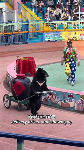 Why This Bear Acts Like a Human... 🐻😂