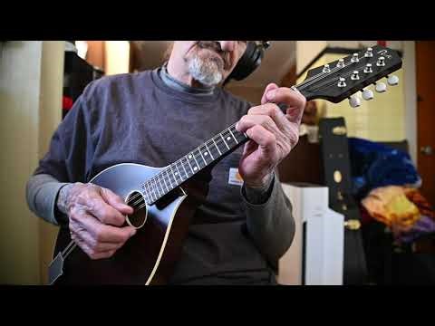 Saltspring ( Reischman ) Mandolin