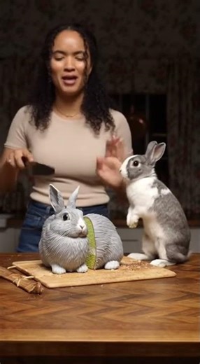 Tiny Rabbit ATTACKS Woman for Cutting Its Twin Cake! 😱🐰💔 (She Deserved It)
