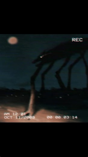 cris (@aki_828282)’s videos with Lavender Town - String Player Gamer