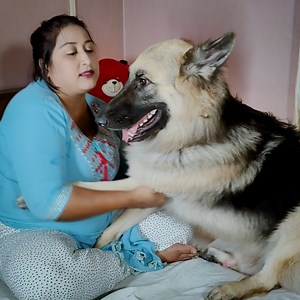 163K views · 3.4K reactions | What are 5 facts about German...