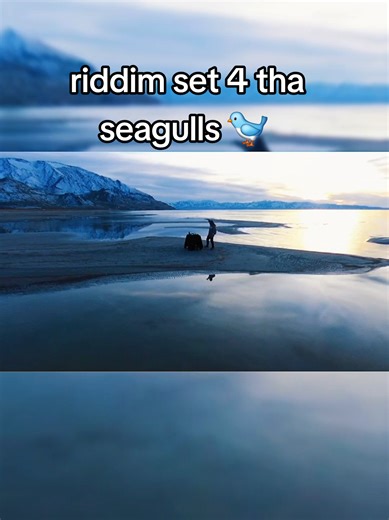 Nothing like playing riddim for the seagulls 🐦 . Who still vibing wit dis one? 🤔 . TRACK ID🎶: SENSATE - BREAK DA LAW (666) . #riddim #dubstep #edm