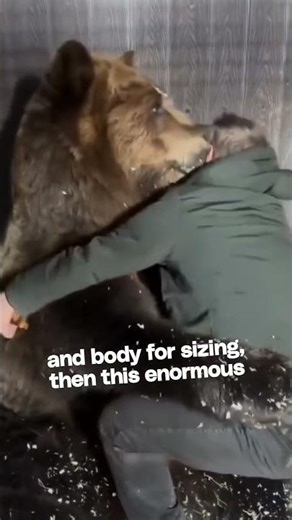This man measured a bear and got a hug