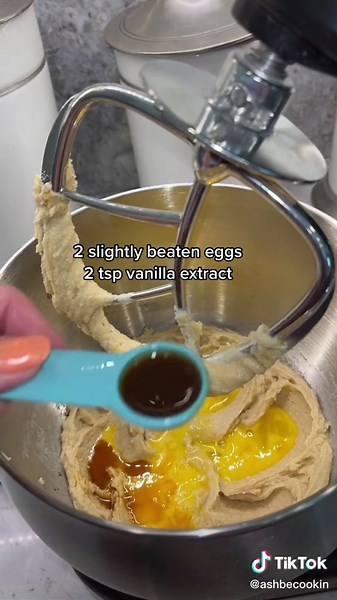 Homemade Chocolate Chip Walnut Cookies Recipe