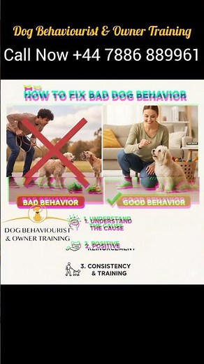 How to Correct Aggressive Dog Behavior🐶Proven Training Tips 2025