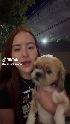 Niko bailarin 💃🏻 #fyp #viral #renatachacon #4u #dog #dance