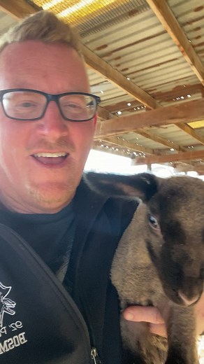 8.7K views · 247 reactions | Dutch Hollow Farms on Reels | Facebook