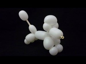 Balloon Poodle