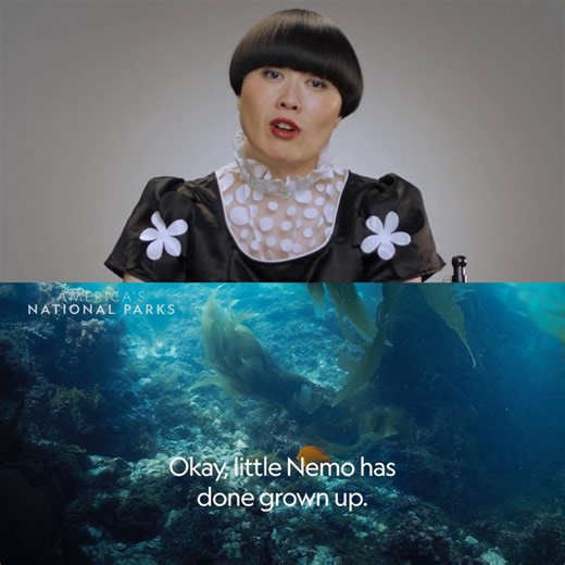 We knew those feathers looked familiar 🧐 Stream these National Geographic shows now on Disney , and don't miss Atsuko Okatsuka's stand-up special Father, streaming now on Hulu. | National Geographic