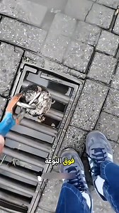 151K views · 501 reactions | لقد أسقط عملة معدنية | Summary Expert | Facebook